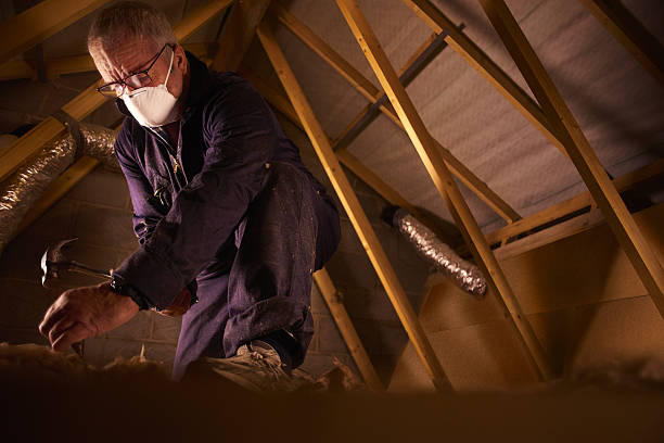 Best Geographic-Specific Insulation Services in Wedgefield, SC